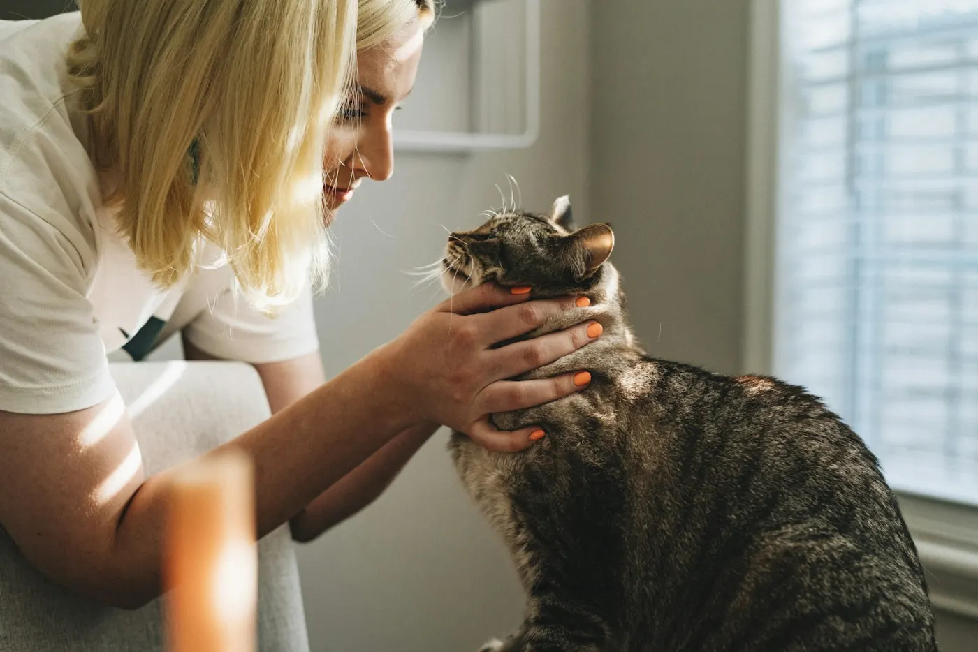 A caretaker gently cupping a relaxed tabby cat's face and neck indoors near a sunlit window